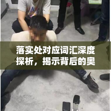 落實處對應詞匯深度探析，揭示背后的奧秘