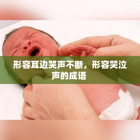 形容耳邊哭聲不斷，形容哭泣聲的成語 
