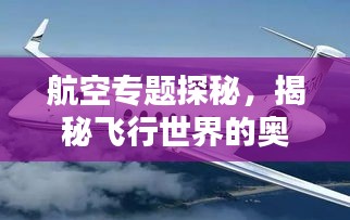 航空專題探秘，揭秘飛行世界的奧秘