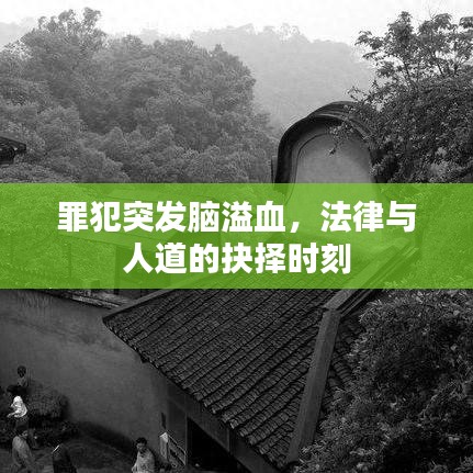罪犯突發(fā)腦溢血，法律與人道的抉擇時(shí)刻