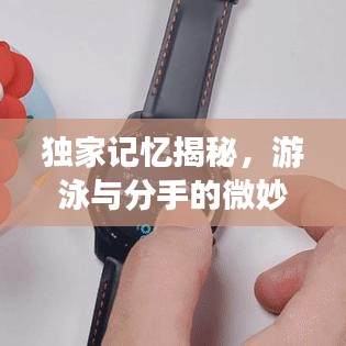 獨家記憶揭秘，游泳與分手的微妙交織