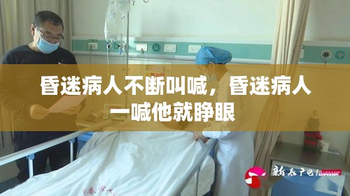鳥(niǎo)覆危巢 第2頁(yè)