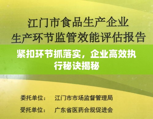 緊扣環(huán)節(jié)抓落實(shí)，企業(yè)高效執(zhí)行秘訣揭秘