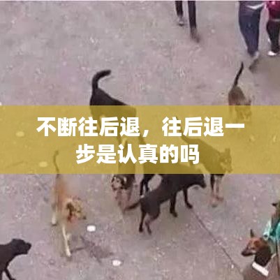 不斷往后退，往后退一步是認真的嗎 