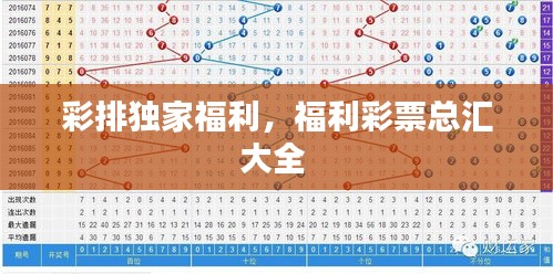 彩排獨(dú)家福利，福利彩票總匯大全 