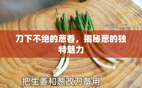 刀下不絕的蔥香，揭秘蔥的獨特魅力