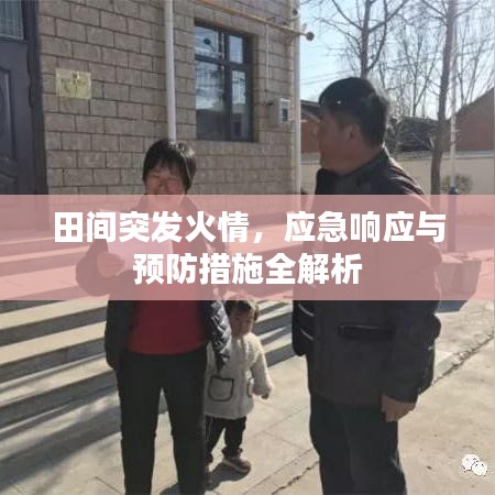田間突發(fā)火情，應(yīng)急響應(yīng)與預(yù)防措施全解析