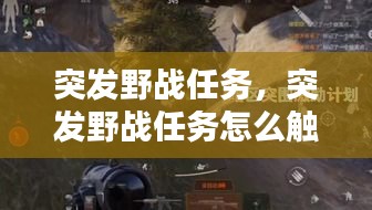突發(fā)野戰(zhàn)任務(wù)，突發(fā)野戰(zhàn)任務(wù)怎么觸發(fā) 