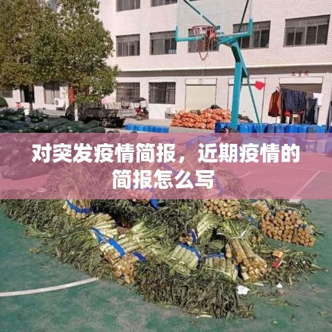對突發(fā)疫情簡報，近期疫情的簡報怎么寫 