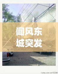 聞風(fēng)東城突發(fā)，聞風(fēng)東城突發(fā)疫情事件 