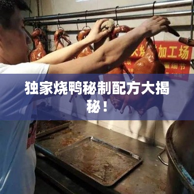 獨(dú)家燒鴨秘制配方大揭秘！