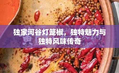 獨(dú)家河谷燈籠椒，獨(dú)特魅力與獨(dú)特風(fēng)味傳奇
