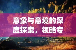意象與意境的深度探索，領略專題魅力