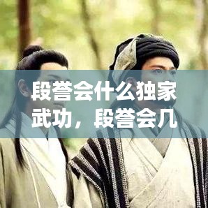 段譽(yù)會(huì)什么獨(dú)家武功，段譽(yù)會(huì)幾種武功 