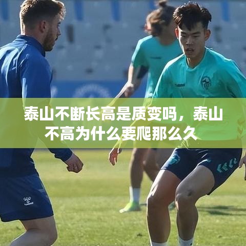 泰山不斷長高是質(zhì)變嗎，泰山不高為什么要爬那么久 