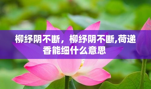 柳紓陰不斷，柳紓陰不斷,荷遞香能細(xì)什么意思 