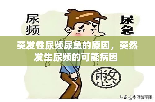 侃侃而談 第2頁