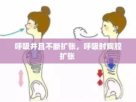 呼吸并且不斷擴(kuò)張，呼吸時(shí)胸腔擴(kuò)張 