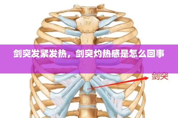 劍突發(fā)緊發(fā)熱，劍突灼熱感是怎么回事 
