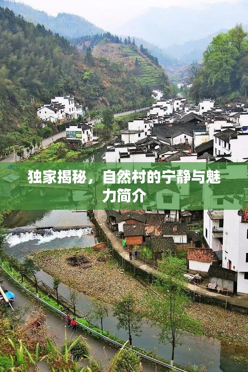 獨(dú)家揭秘，自然村的寧?kù)o與魅力簡(jiǎn)介