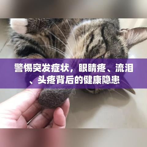 將陋就簡(jiǎn) 第2頁
