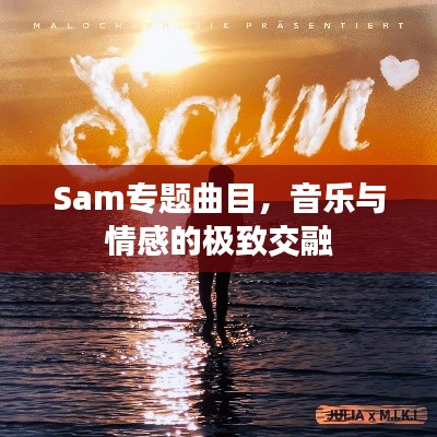 Sam專題曲目，音樂與情感的極致交融