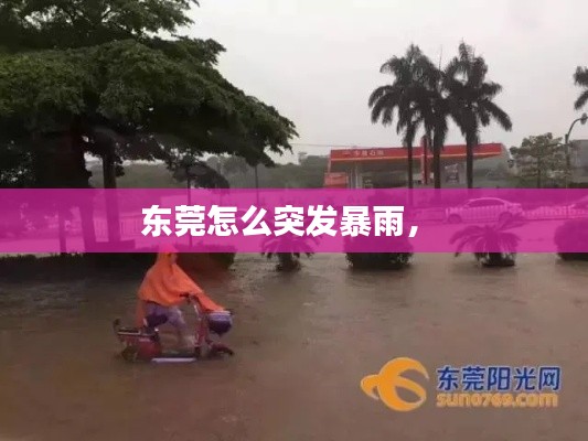 東莞怎么突發(fā)暴雨， 