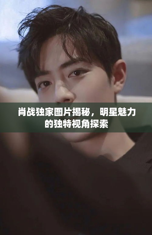 肖戰(zhàn)獨家圖片揭秘，明星魅力的獨特視角探索