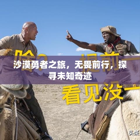 沙漠勇者之旅，無畏前行，探尋未知奇跡