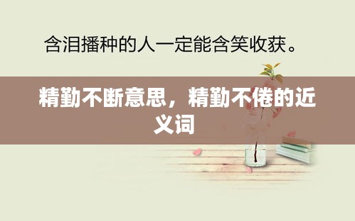 精勤不斷意思，精勤不倦的近義詞 