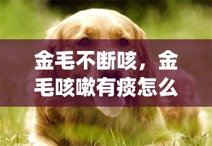 絕無僅有 第2頁