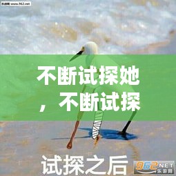 不斷試探她，不斷試探表情包 