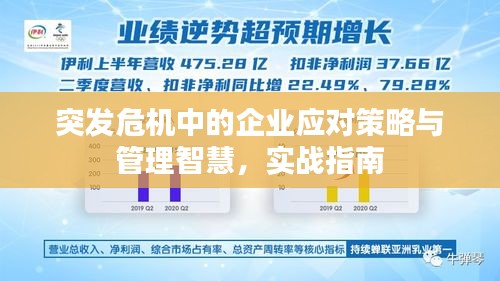 突發(fā)危機中的企業(yè)應對策略與管理智慧，實戰(zhàn)指南