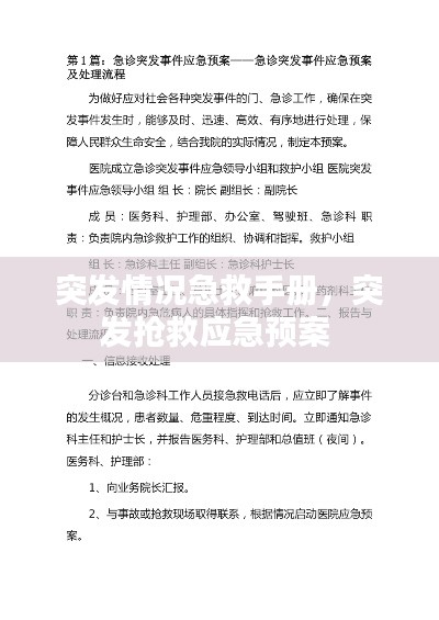 突發(fā)情況急救手冊，突發(fā)搶救應急預案 