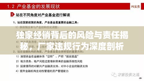 獨家經(jīng)銷背后的風(fēng)險與責(zé)任揭秘，廠家違規(guī)行為深度剖析