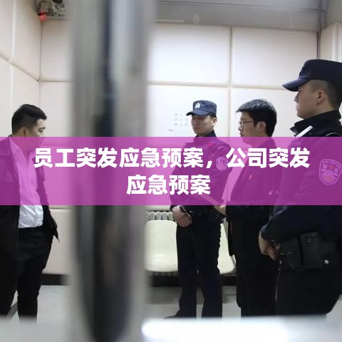 員工突發(fā)應(yīng)急預(yù)案，公司突發(fā)應(yīng)急預(yù)案 