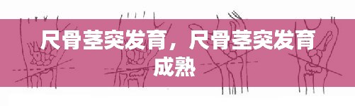 尺骨莖突發(fā)育，尺骨莖突發(fā)育成熟 