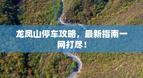 龍鳳山停車攻略，最新指南一網(wǎng)打盡！