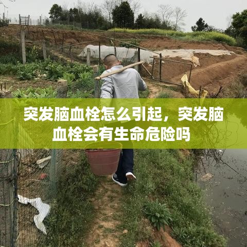 突發(fā)腦血栓怎么引起，突發(fā)腦血栓會(huì)有生命危險(xiǎn)嗎 