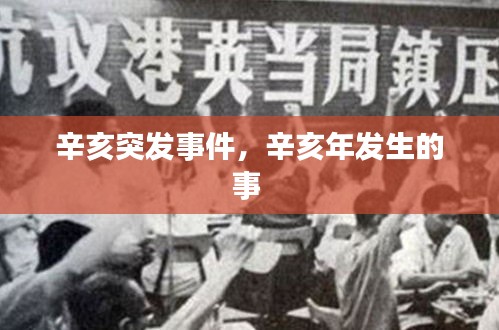 辛亥突發(fā)事件，辛亥年發(fā)生的事 