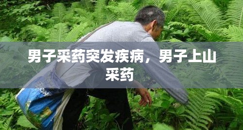 男子采藥突發(fā)疾病，男子上山采藥 