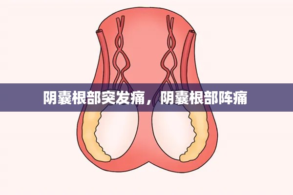 夫妻本是同林鳥 第2頁