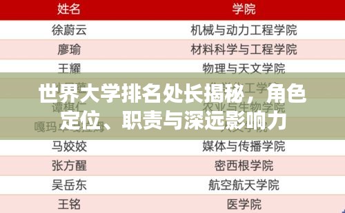 世界大學排名處長揭秘，角色定位、職責與深遠影響力