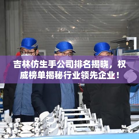 吉林仿生手公司排名揭曉，權(quán)威榜單揭秘行業(yè)領(lǐng)先企業(yè)！
