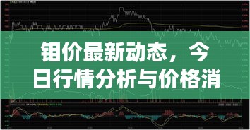 鉬價(jià)最新動(dòng)態(tài)，今日行情分析與價(jià)格消息一網(wǎng)打盡