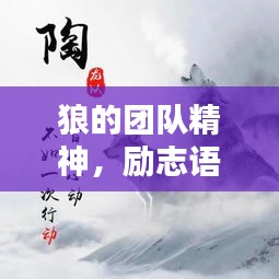 狼的團(tuán)隊(duì)精神，勵志語錄激發(fā)無限潛能