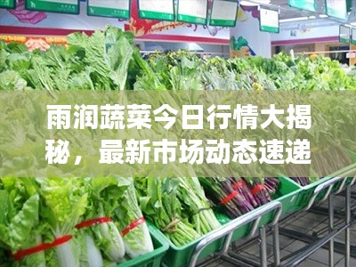 雨潤蔬菜今日行情大揭秘，最新市場動態(tài)速遞