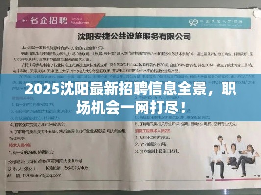 2025沈陽最新招聘信息全景，職場機會一網(wǎng)打盡！