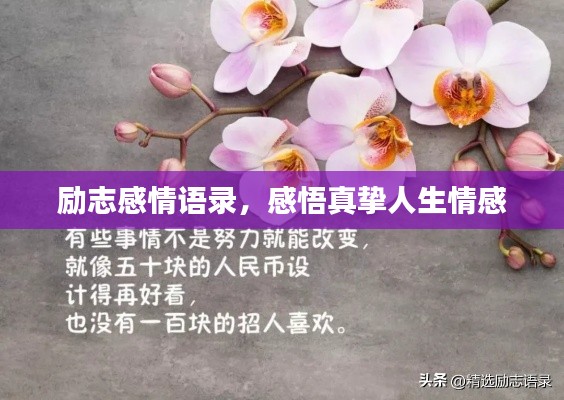 勵(lì)志感情語(yǔ)錄，感悟真摯人生情感
