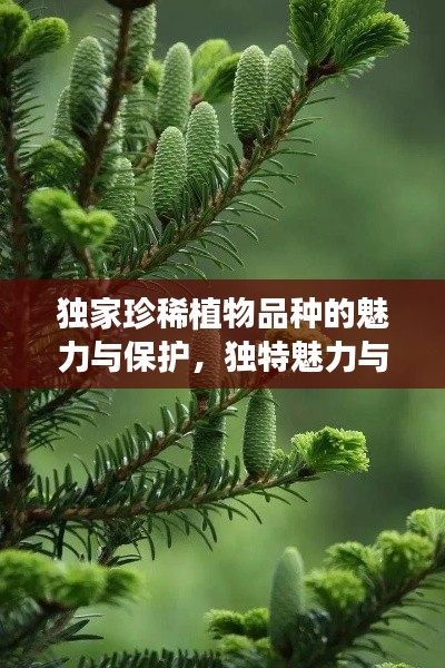 獨(dú)家珍稀植物品種的魅力與保護(hù)，獨(dú)特魅力與院外品種探秘